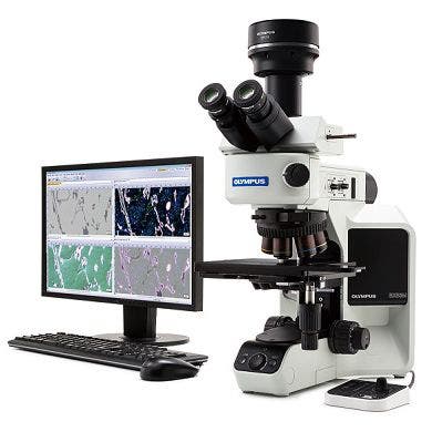 BX series metallurgical microscope with IR unit