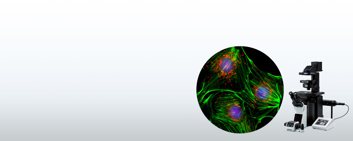 Widefield Fluorescence Imaging | Olympus LS