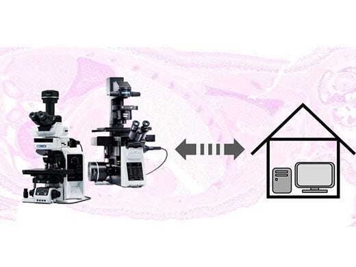 Remote Microscopy