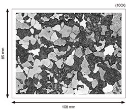Comparing an observation image with the defined standard image.