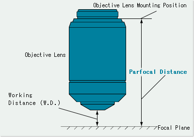 What is the Parfocal Distance? | Learn about Microscope | Olympus