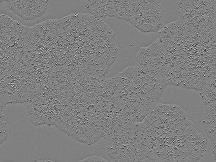 Figure 7-1. Image of day 7 (1231A3)