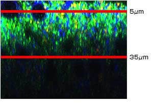 UPLASAPO60XO （NA: 1.35, W.D.: 0.15mm)