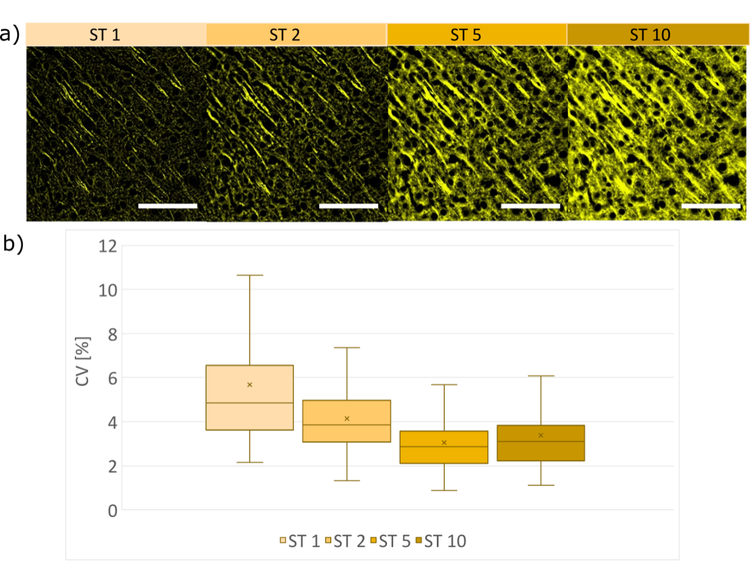 Stained mouse brain sample acquired by SILA imaging