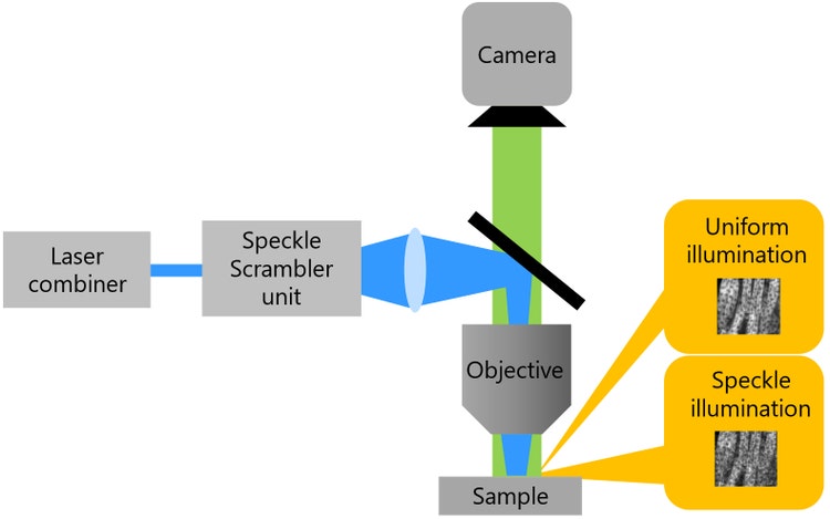 Figure 4. Optical design of the SILA imaging method for thick samples