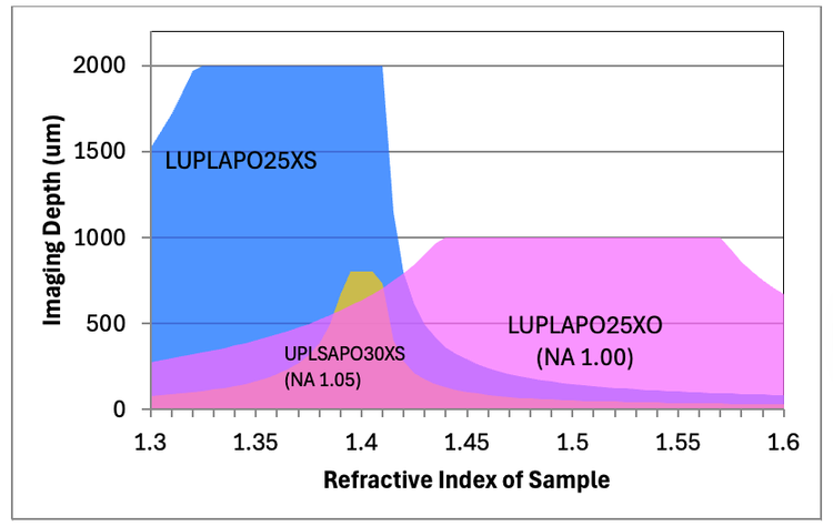 Refractive index compatibility range and maximum imaging depth for objective lenses used for deep imaging.
