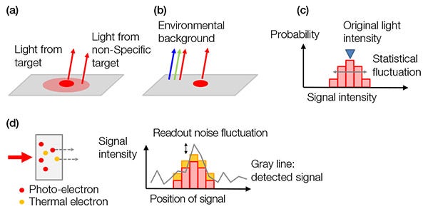 Figure 4 – Examples of background noises: (a) biological background from a non-specific stain or autofluorescence, (b) environment light from the room reflected on a slide, (c) shot noise, (d) noises in a camera that contain thermal electrons generated in a sensor (left) and readout noise (right). Thermal electrons can be reduced by cooling the sensor.