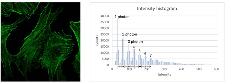 Fig.13 Fluoresces image acquired by FV4000 SilVIR and its pixel intensity histogram.