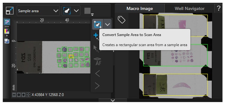 Rectangular scan area in cellSens APEX software for the APX100 microscope.