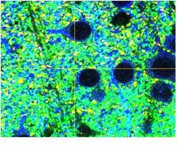 UPLASAPO60XO, Z=5μm