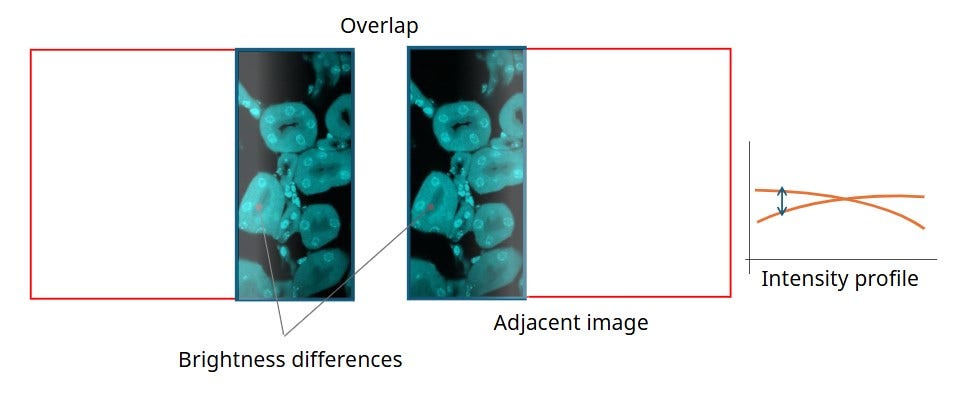 Lens Shadding Correction Intelligent Shading Correction for High-Quality Stitched Images in ...
