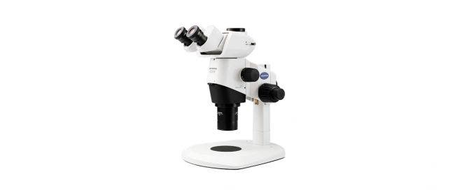 Stereo Microscopes