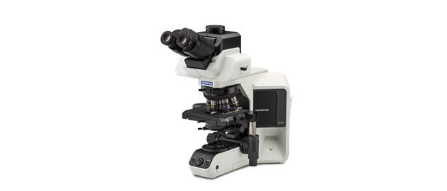 Upright Microscopes