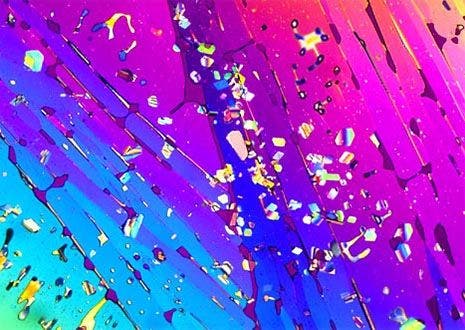 Oxalic Acid Crystallites