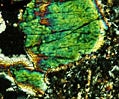 Leucite Nepheline Tephrite