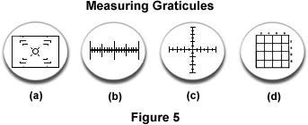 Measuring graticules