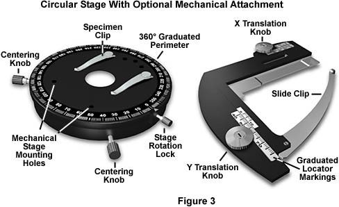 The circular graduated stage, illustrated on the left in Figure 3, is one of the most versatile and useful designs for all types of microscopy and photomicrography. These stages rotate 360°, permitting complete rotation of the samples and great ease in fine-tuning the composition of viewfields for photomicrography.