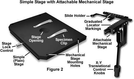 A simple (commonly termed "plain") microscope stage is illustrated on the left in Figure 2. This stage contains an opening to admit light from the condenser, several mounting holes for a mechanical stage, and two clips that secure the specimen slide in place for observation under increasing magnification (changing of objectives) and for photomicrography.