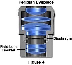 Periplan eyepiece