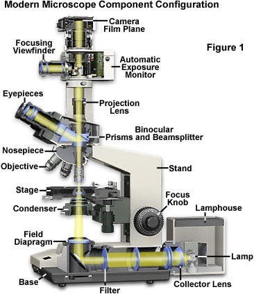 Microscope Optical Components Introduction