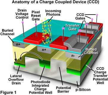 Anatomy of a Charge-Coupled Device