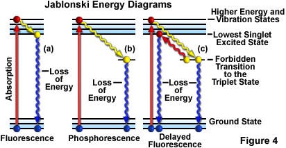 A Jablonski energy diagram showing fluorescence, phosphorescence, and delayed fluorescence activity