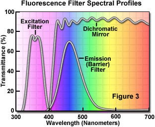 Graph showing fluorescence filter spectral profiles