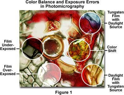 Incorrect Color Balance Troubleshooting Exposure and Color Balance Errors