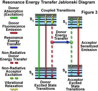 figure3