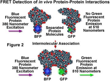 figure2