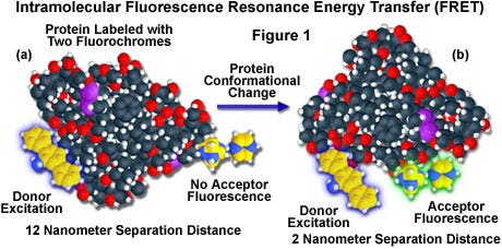 figure1