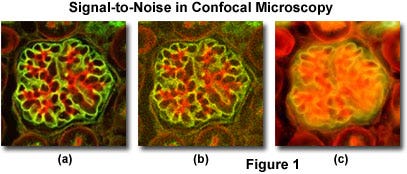 figure1