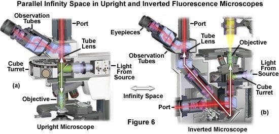 Figure6