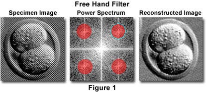 Fourier Transform Filtering