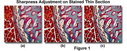 Image Sharpness Adjustment