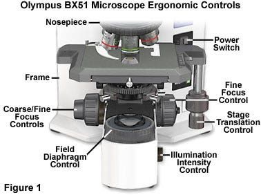 Automatic Objective Changeover