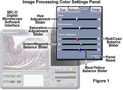 Color Balance