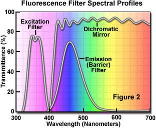 Fluorescence Filter Spectral Transmission Profiles