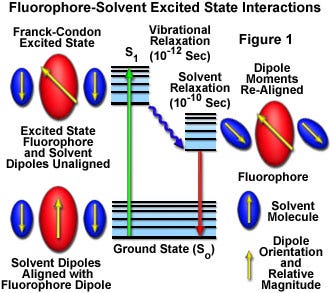 Solvent Effects on Fluorescence Emission