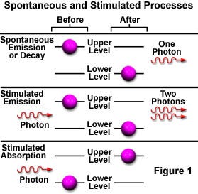 Spontaneous and Stimulated Processes