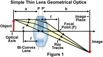 Magnification with a Bi-Convex Lens