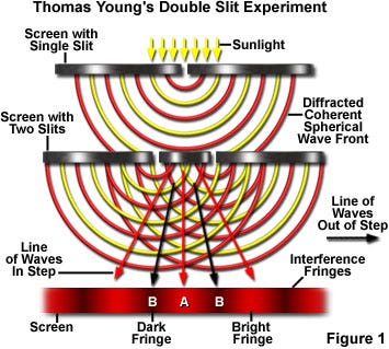 Thomas Young's Double Slit Experiment