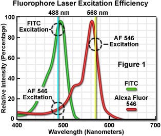 Fluorescent Probe Excitation Efficiency