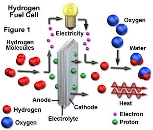 Hydrogen Fuel Cell Basics