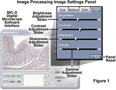 Brightness and Contrast in Digital Images