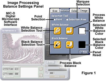 White and Black Balance