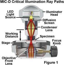 Image-Forming and Aperture Light Pathways