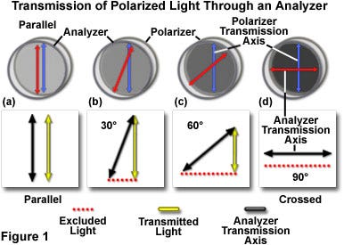 Polarization of Light