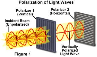 Polarization of Light (3-D Version)