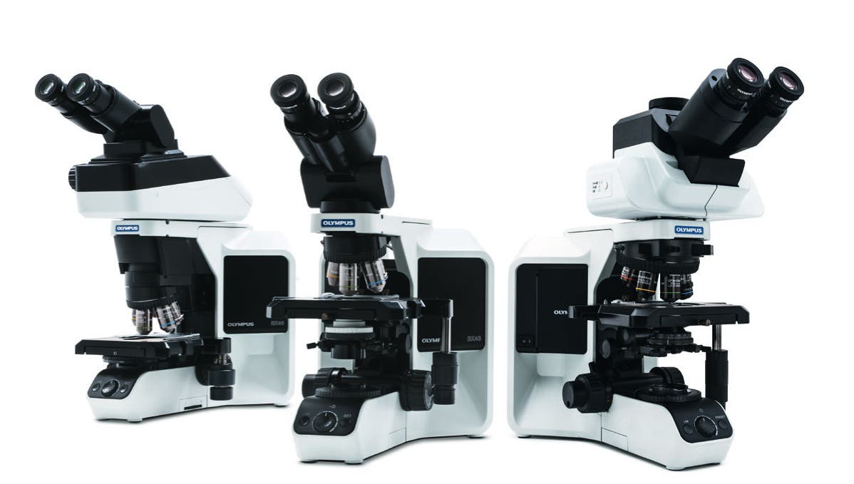Upright Microscopes | Olympus | Evident